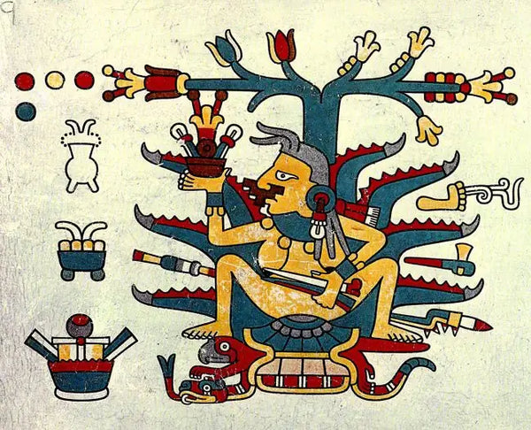 Historisches Bild - Oaxaca Geschichte