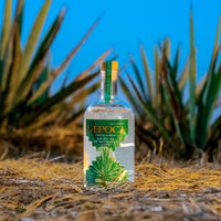 LÆPOCA Mezcal Cuishe vor Agavenfeld