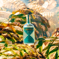 LÆPOCA Mezcal Ensamble vor Agaven Herzen