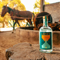 LÆPOCA Mezcal Espadín vor Tahona  in Oaxaca, Mexico