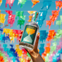 LÆPOCA Mezcal Espadín Flasche vor Oaxaca-Himmel