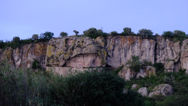 Die Höhle Guilá Naquitz