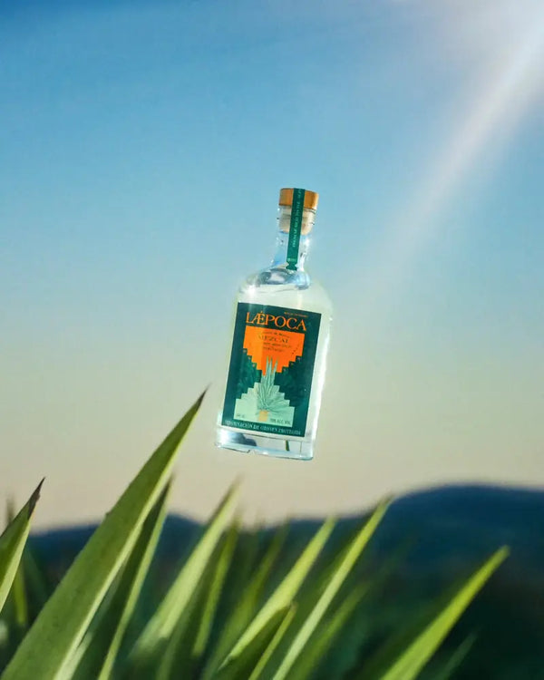 L&AElig;POCA Mezcal auf Instagram, Bild 4